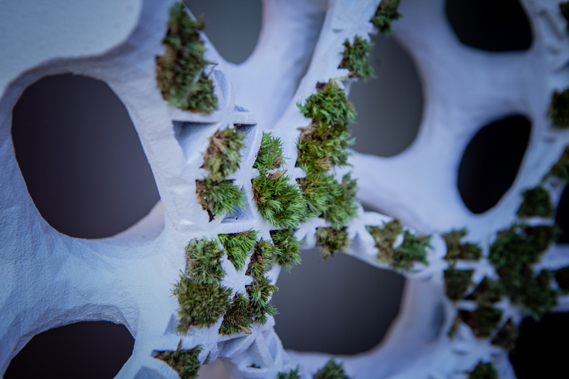 yong ju lee embeds plant life into architecture with 'moss tower' prototype designboom