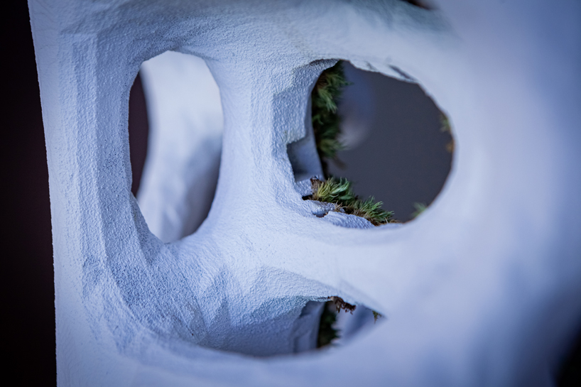 yong ju lee embeds plant life into architecture with 'moss tower' prototype designboom