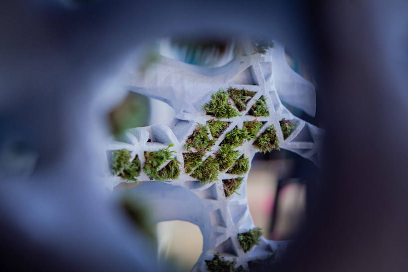 yong ju lee embeds plant life into architecture with 'moss tower' prototype designboom