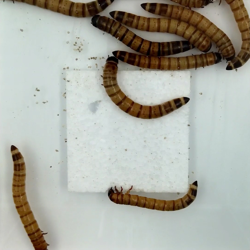 worm skyscraper by yong ju lee proposes a solution for polystyrene waste designboom