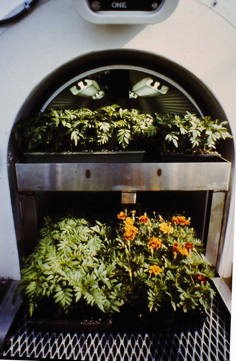michael jantzen's experimental greenhouse from 1986 designboom