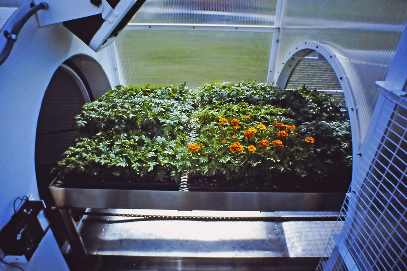 michael jantzen's experimental greenhouse from 1986 designboom