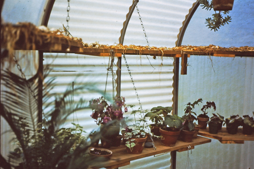 michael jantzen unveils a series of experimental greenhouses from 1972 to 1980