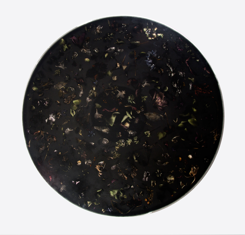 marcin rusak flora collection designboom