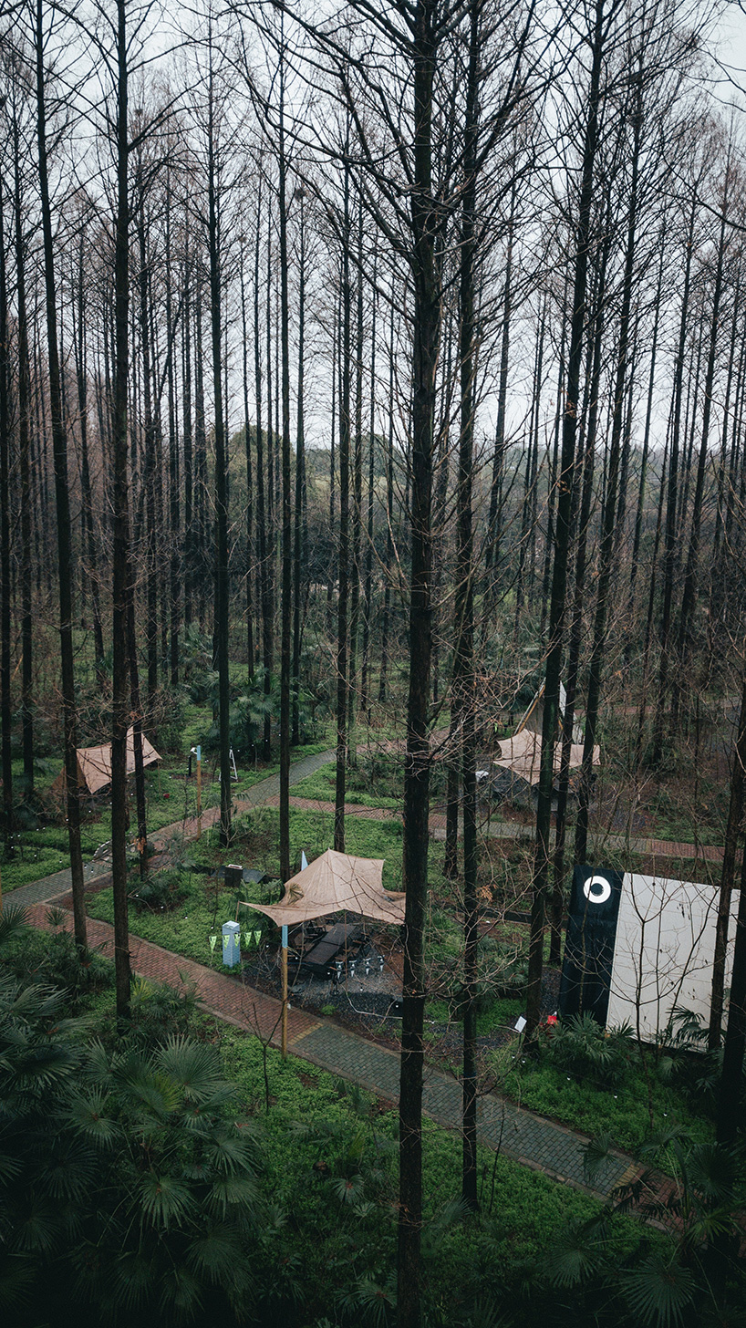 wiki worldsecrets natural camp 2