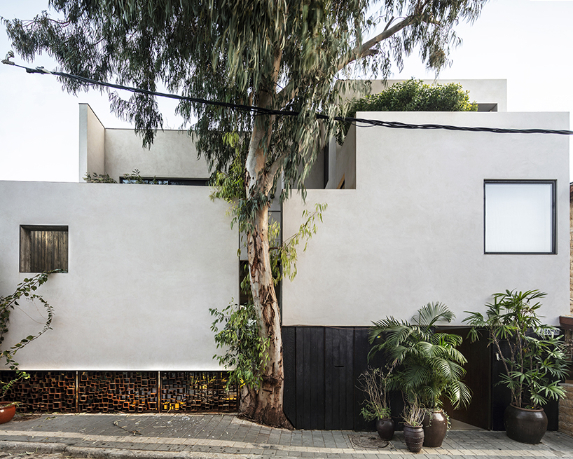 eucalyptus house by paritzki liani 1