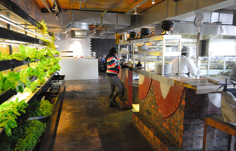tsai design studio: moyo waterfront restaurant + urban farm