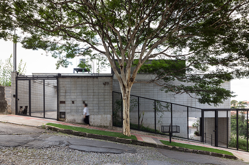 marcos franchini steps concrete volumes to build a house and wine tasting space in brazil designboom