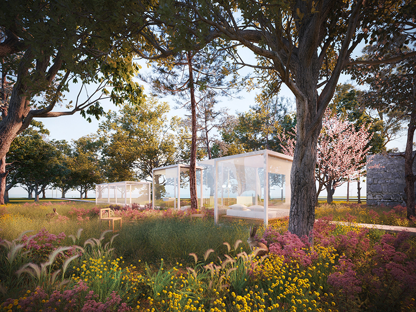 the treehouse module conceives a dialogue with forests in france designboom
