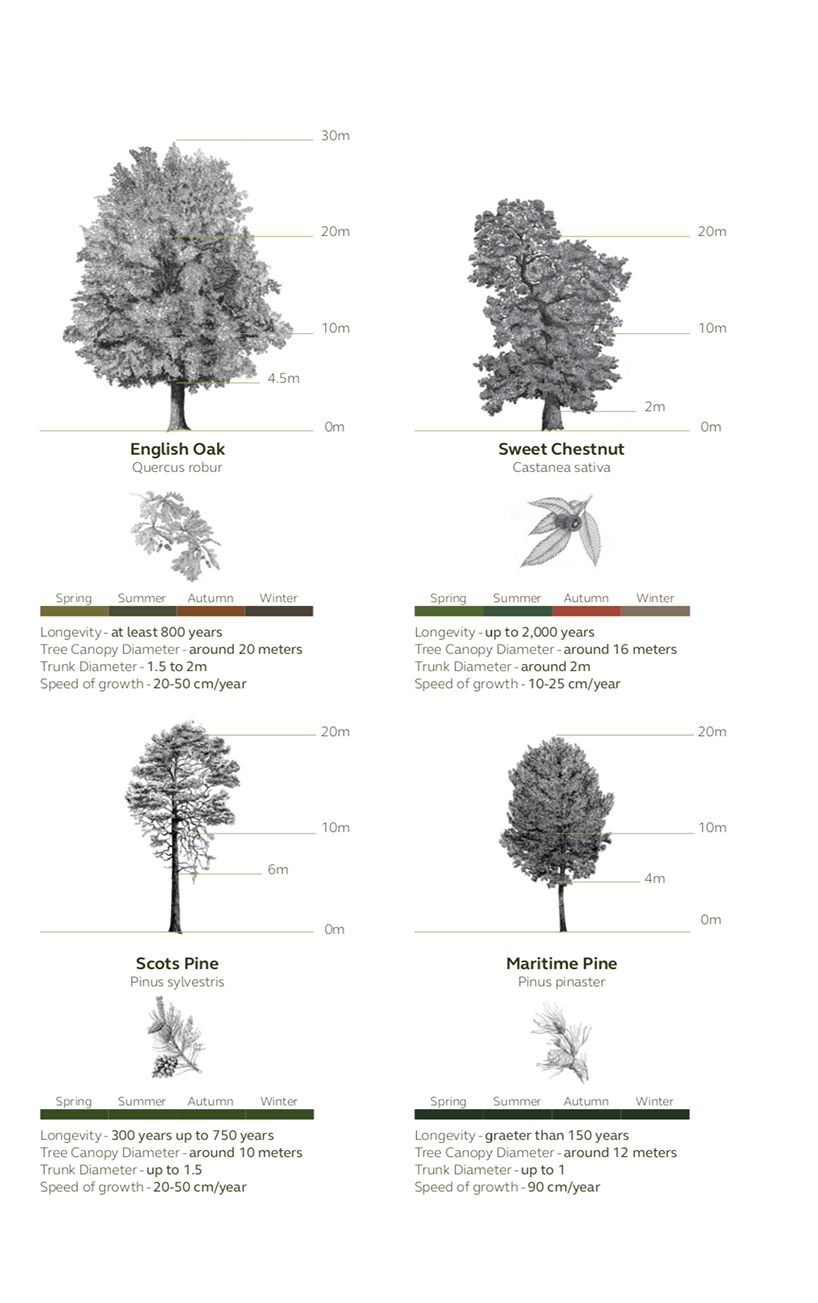 the treehouse module conceives a dialogue with forests in france designboom
