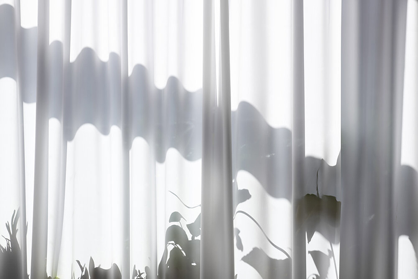 pirol studio by coordination 2