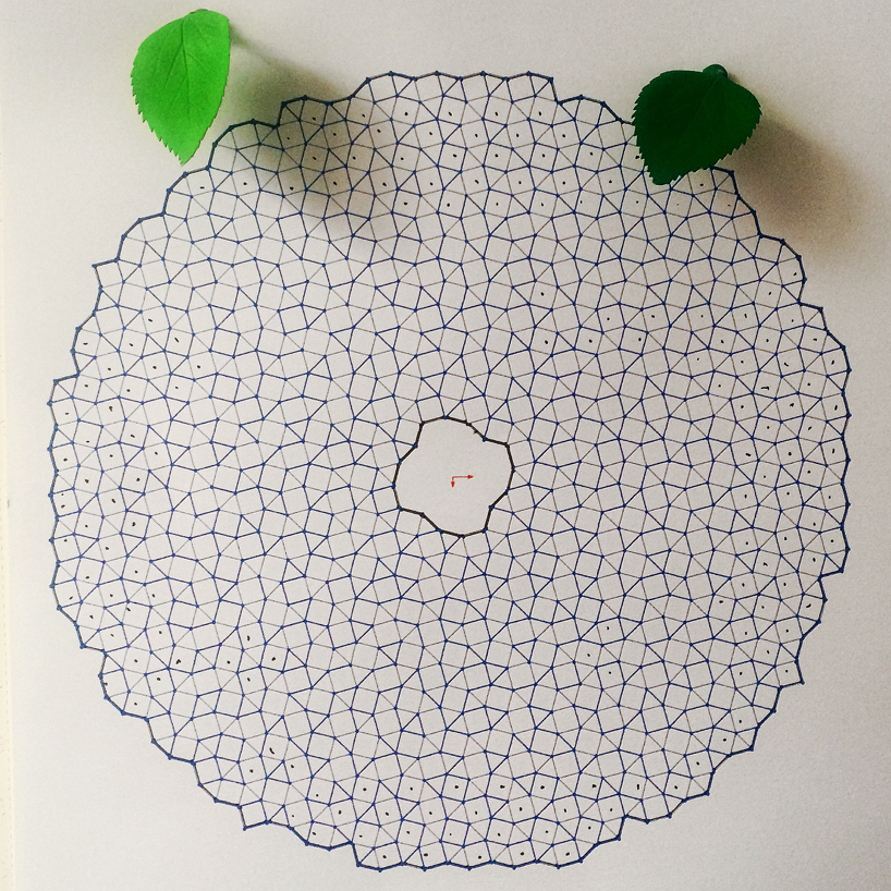 samuel wilkinson ommatidium