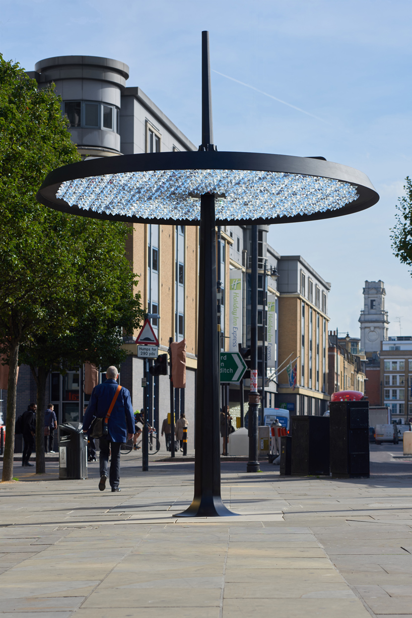 samuel wilkinson ommatidium