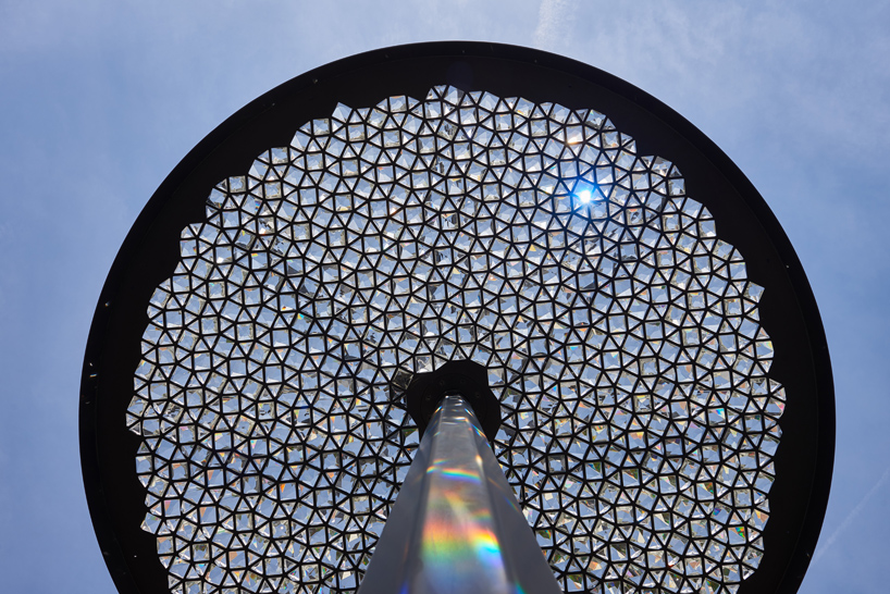 samuel wilkinson ommatidium