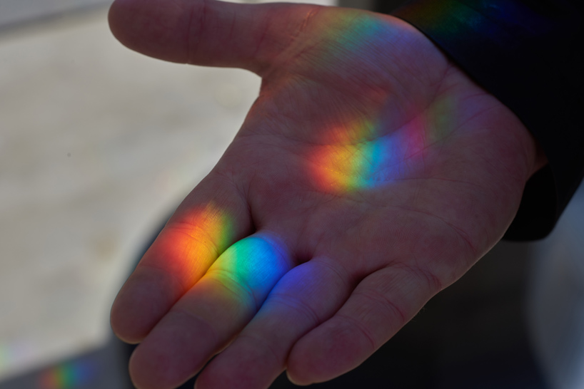 samuel wilkinson ommatidium