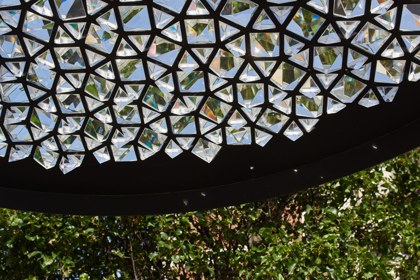 samuel wilkinson ommatidium