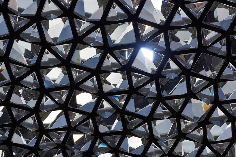 samuel wilkinson ommatidium