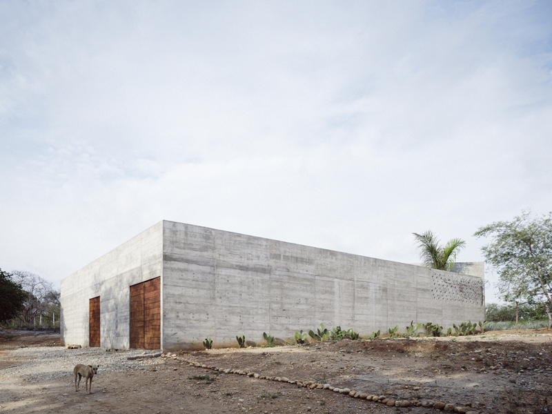 ludwig godefroy blends indoor and outdoor living spaces on the mexican coast designboom