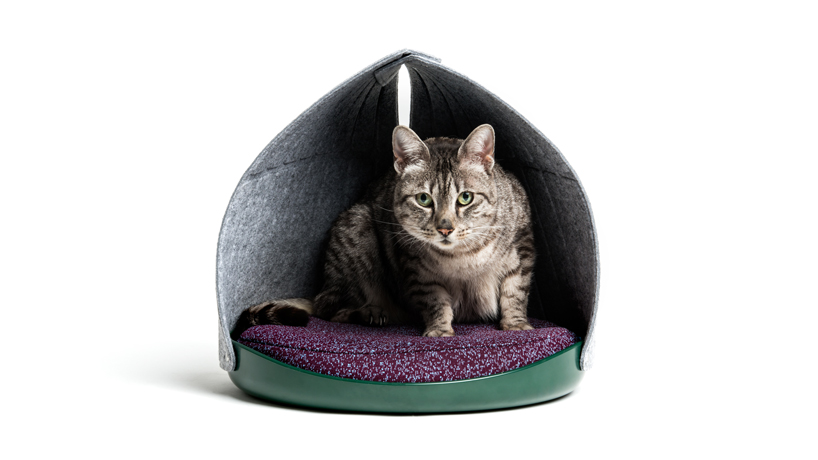 layer-benjamin-hubert-cat-person-bowl-bed-products-03-24-2020-designboom