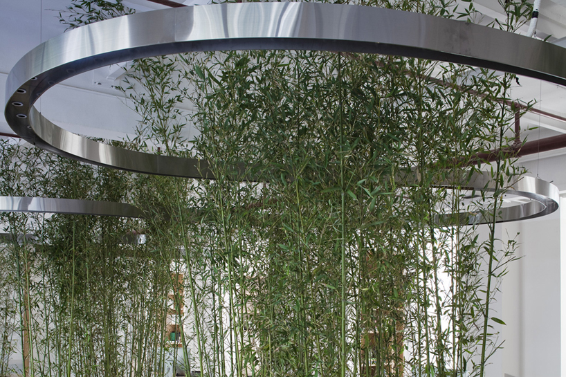 JW associates plants bamboo office interior in shanghai - 2