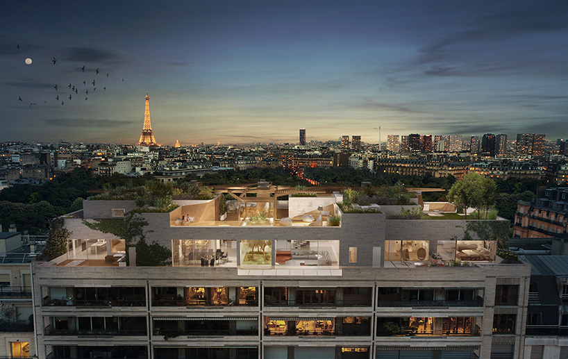 matteo cainer architects forêt urbaine parisian penthouse  designboom