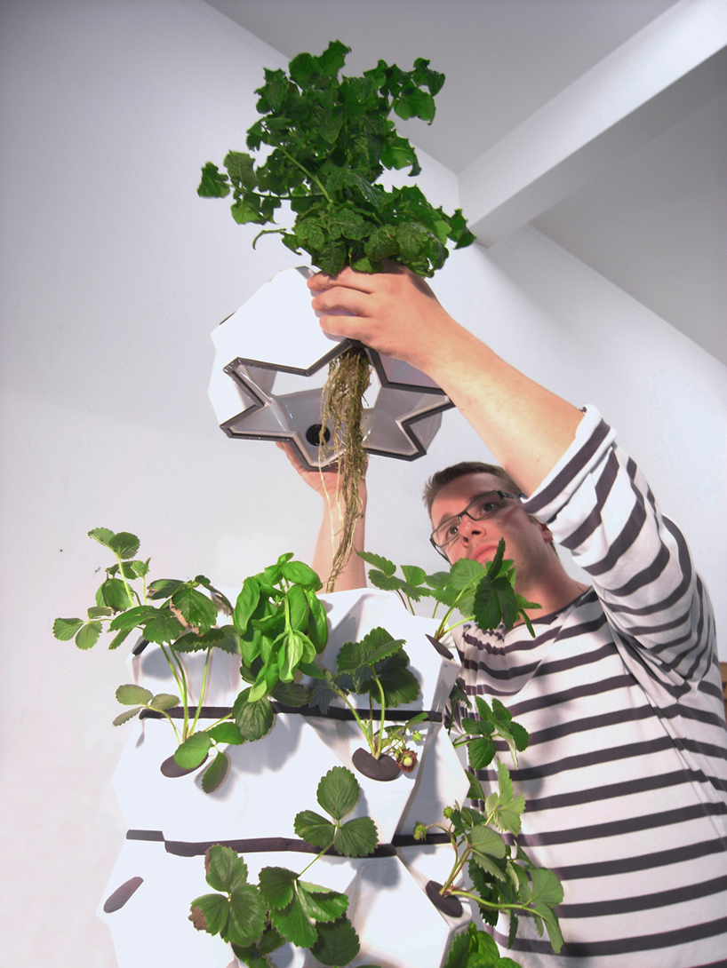 the fogger vertical planting unit by vakant design