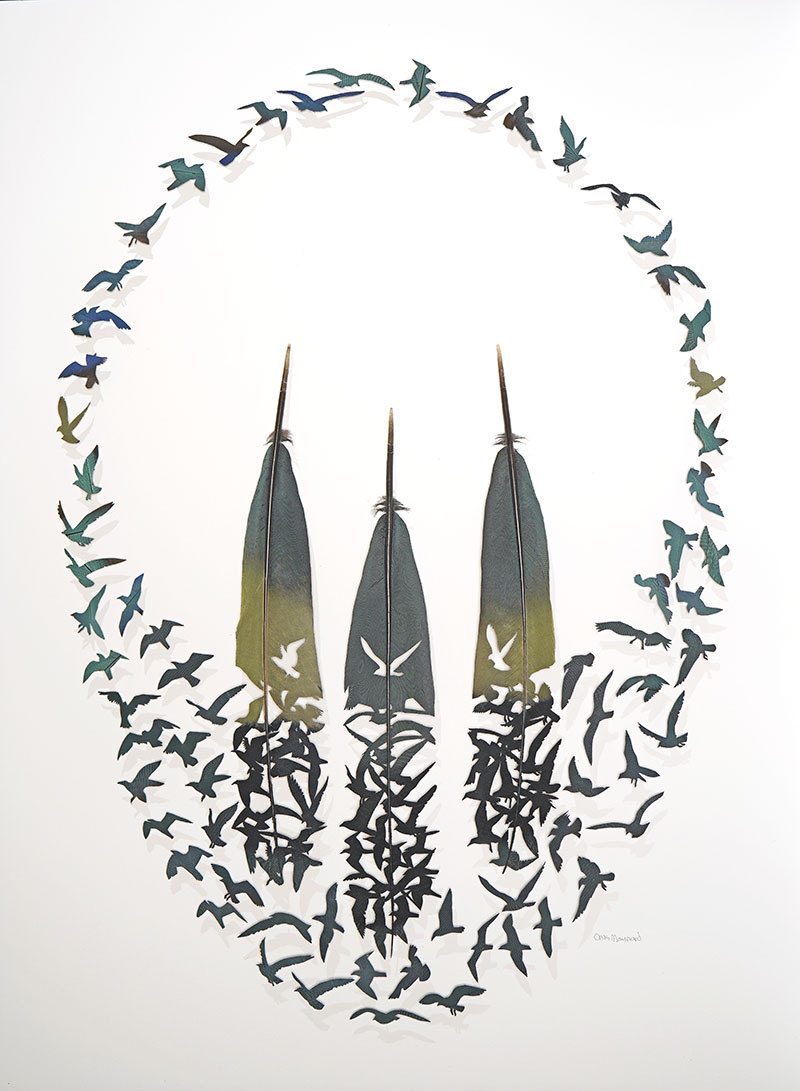 chris maynard carves real bird feathers into intricate artworks designboom