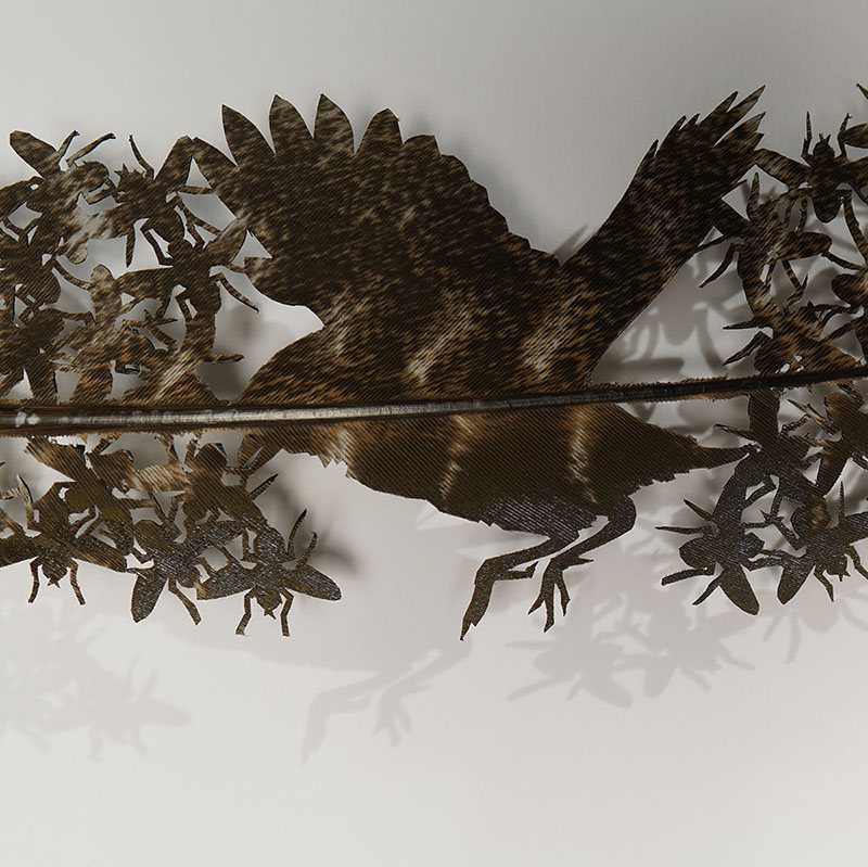 chris maynard carves real bird feathers into intricate artworks designboom