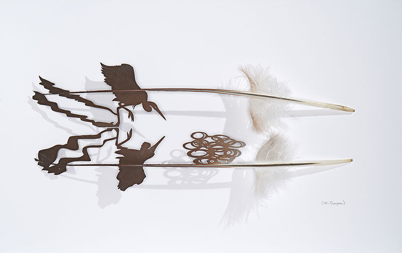 chris maynard carves real bird feathers into intricate artworks designboom