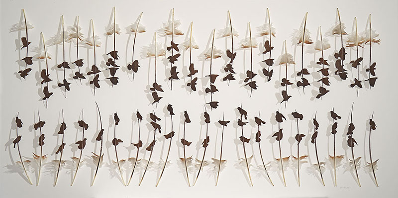 chris maynard carves real bird feathers into intricate artworks designboom