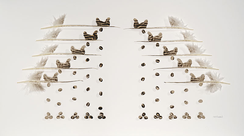 chris maynard carves real bird feathers into intricate artworks designboom