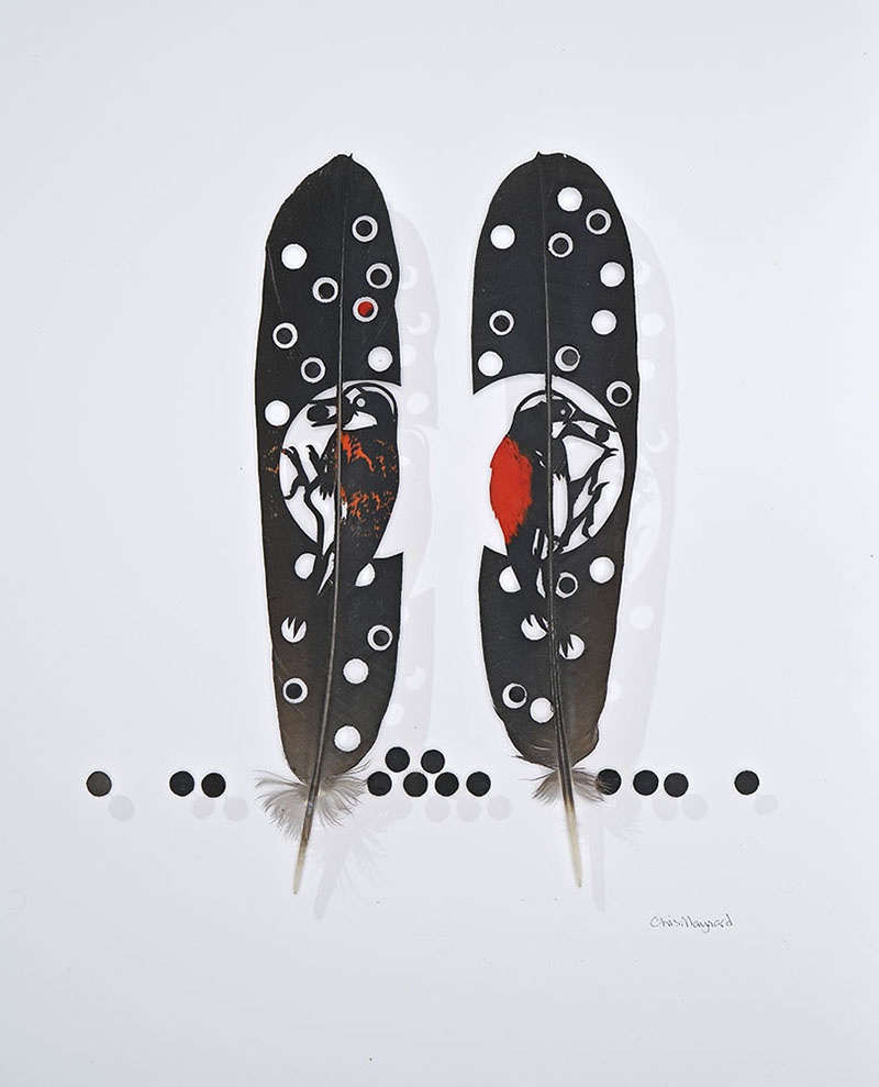 chris maynard carves real bird feathers into intricate artworks designboom