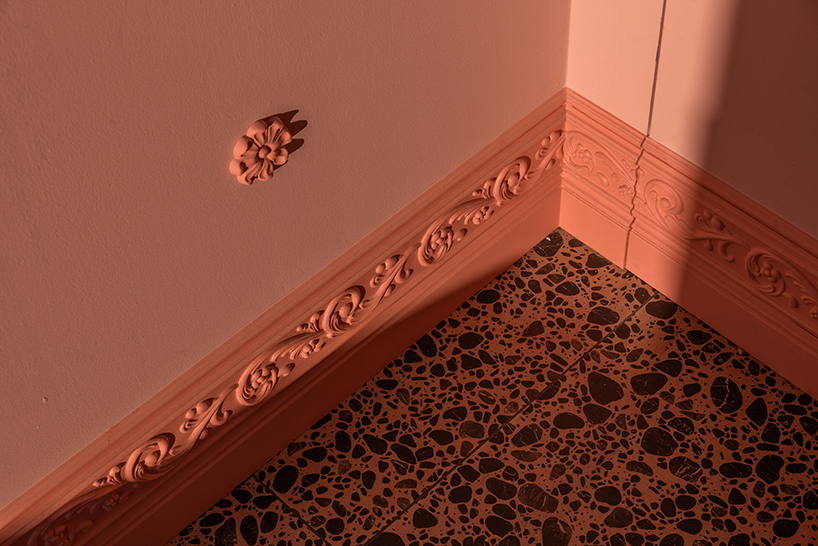 bez rodzynek cake studio 3