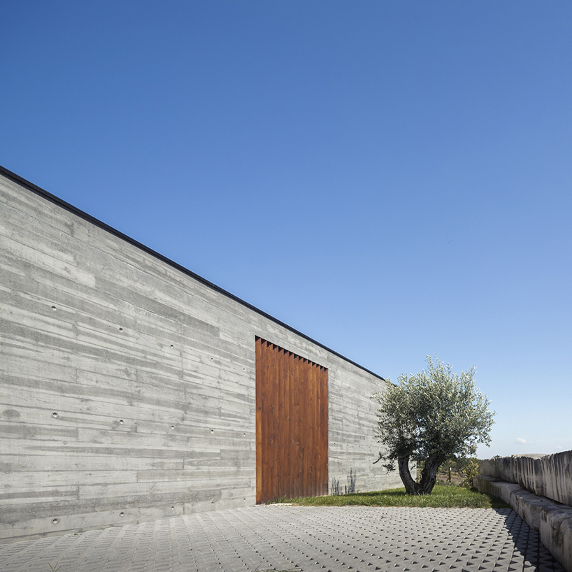 contaminar designs an l shape concrete house surrounded by olive trees in porto de mos 8