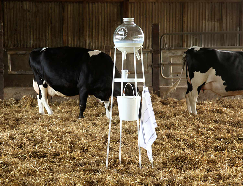 5.5 design studio vache a lait milk factory reinvent dairy designboom