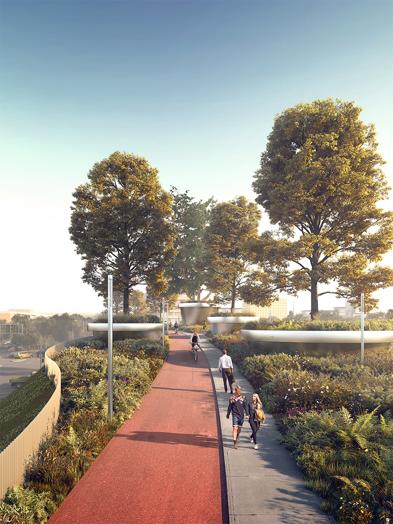 tree bridge of trees paul de ruiter architects