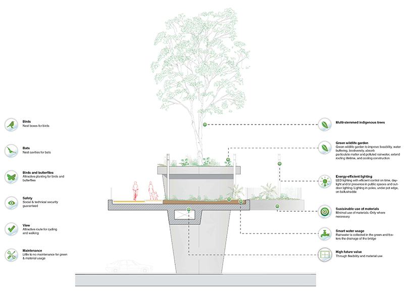 tree bridge of trees paul de ruiter architects