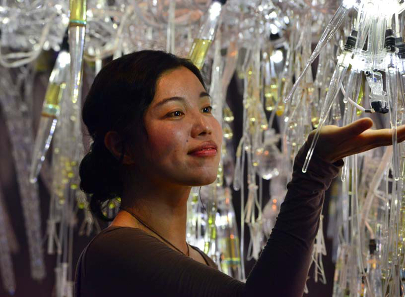 philip beesley canopy