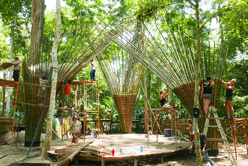 bamboo trees building trust international atelierCOLE designboom
