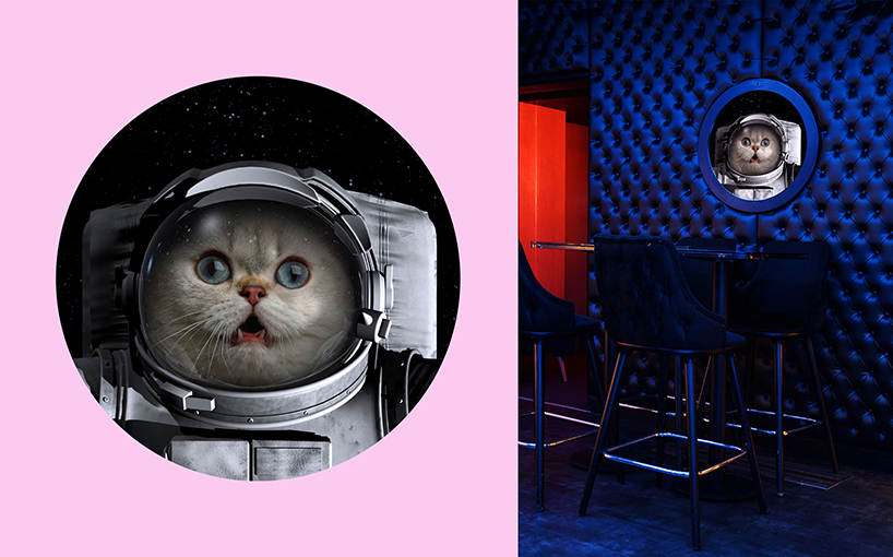 kissmiklos applies colorful illustrations to design CAT bar and dance club in budapest designboom