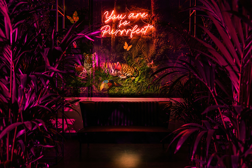 kissmiklos applies colorful illustrations to design CAT bar and dance club in budapest designboom