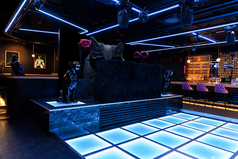 kissmiklos applies colorful illustrations to design CAT bar and dance club in budapest designboom