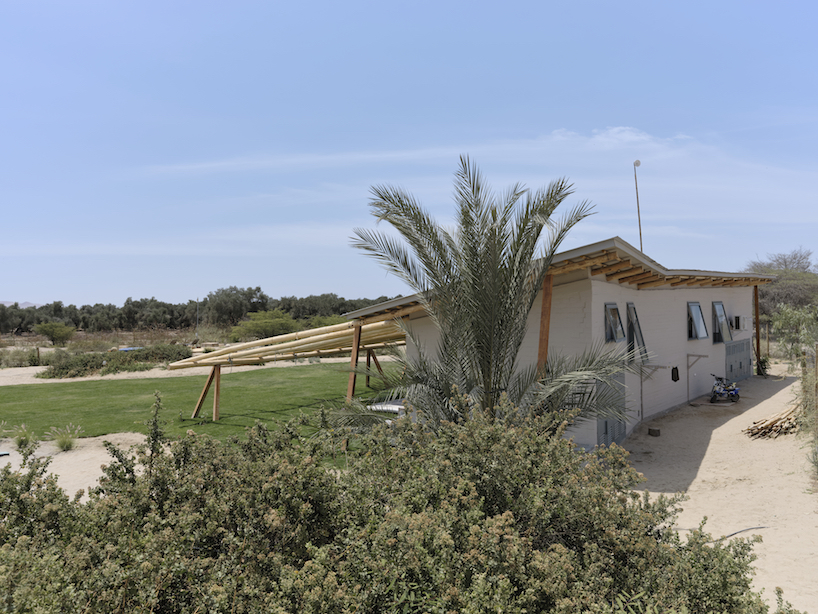 ghezzi novak shades idyllic retreat in pisco desert with sloping eucalyptus hardwood roof
