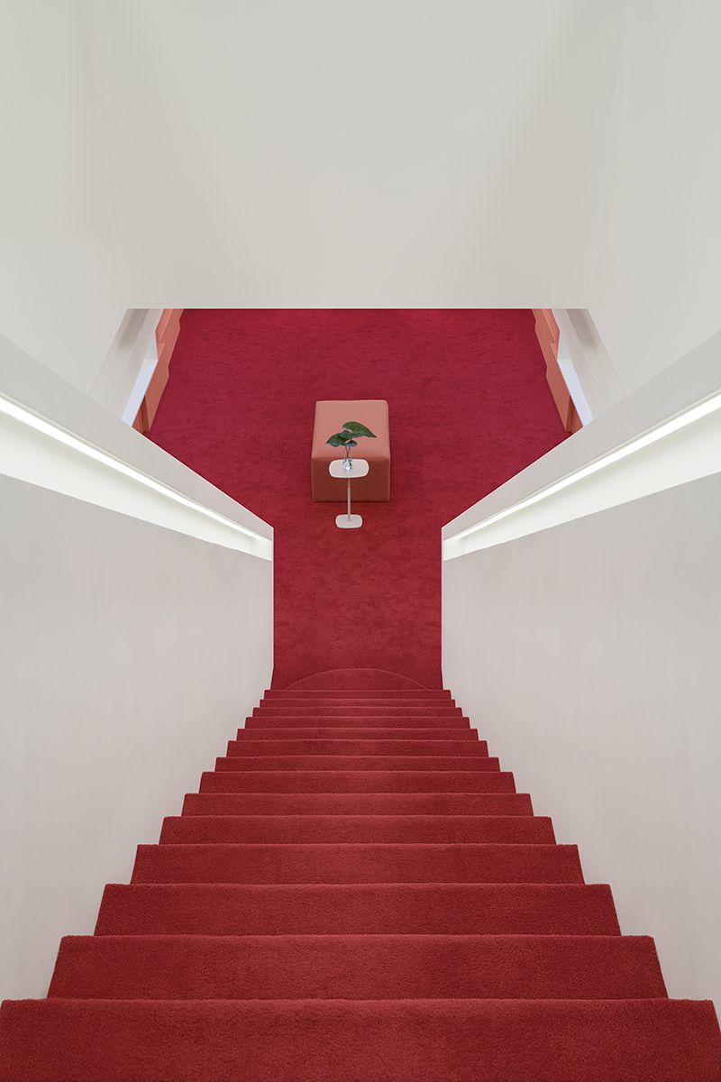 zissou flagship by estudio guto requena 9