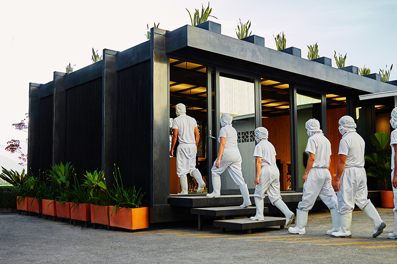 estudio felipe escudero designs factory workers' dining space in ecuador