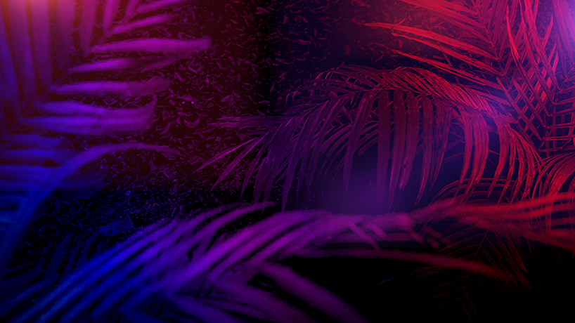 stars is a daydream to reinvigorate urban landscapes carry out the global plan of carbon sequestration 4