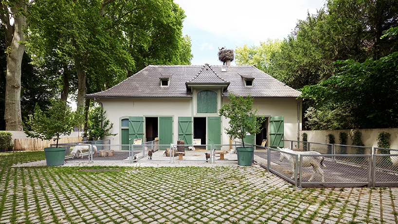 FREAKS refurbs strasbourg zoo's pedagogical farm in north-west france designboom