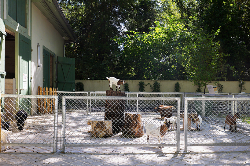 FREAKS refurbs strasbourg zoo's pedagogical farm in north-west france designboom