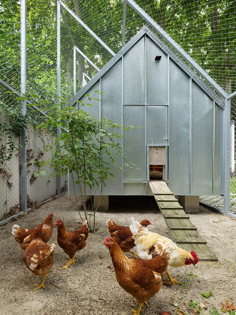 FREAKS refurbs strasbourg zoo's pedagogical farm in north-west france designboom
