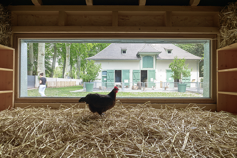 FREAKS refurbs strasbourg zoo's pedagogical farm in north-west france designboom